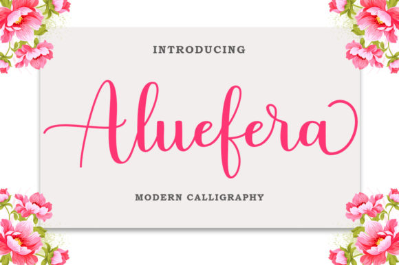 Aluefera Script: Adding a Luxury Spark to Your Brand