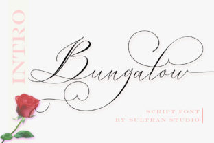 Bungalow Script: A Handwritten Typeface That Feels Like Home