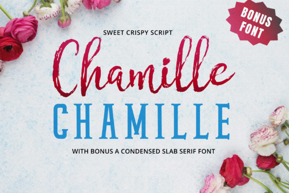 Chamille Script: A Fresh Take on Hand-Lettered Charm
