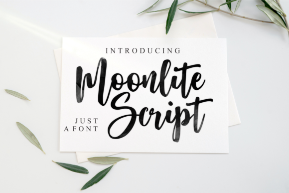 Discover Moonlite Script: A Modern Script Font for Fashionable Brands