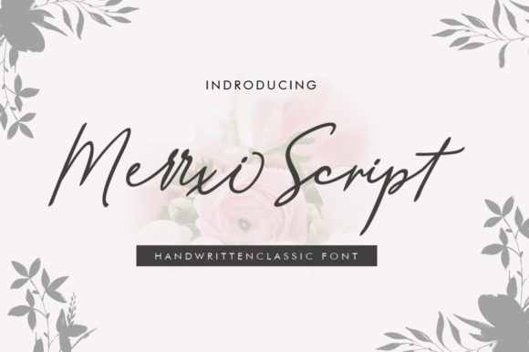 Merrxi Script: Where Modern Calligraphy Meets Brand Soul