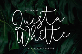 Questa Whitte Script: A Handwritten Font for Modern Brands