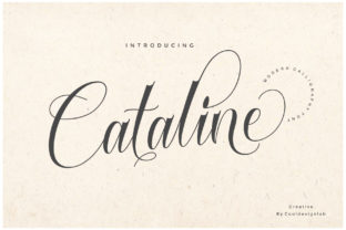 Unleashing Creativity: The Fresh Energy of Cataline Script