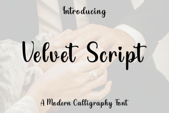 Velvet Script: The Calligraphy Font for Modern Romance